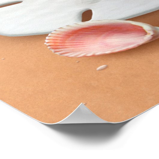 Alan Giana "Sand Dollars"-Poster Poster (Hoek)