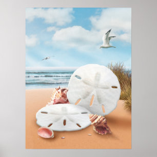 Alan Giana "Sand Dollars"-Poster Poster