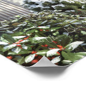 Alan Giana "still Light of Dawn" Canvas Print (Hoek)