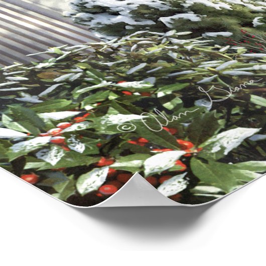 Alan Giana "still Light of Dawn" Canvas Print (Hoek)