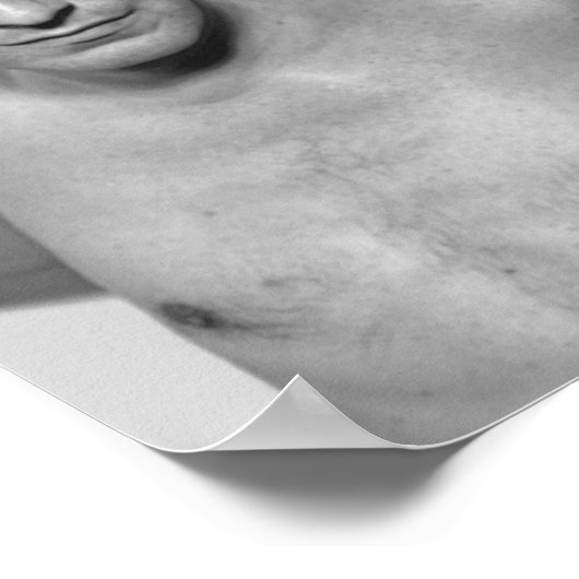 Alan Rickman Poster (Hoek)