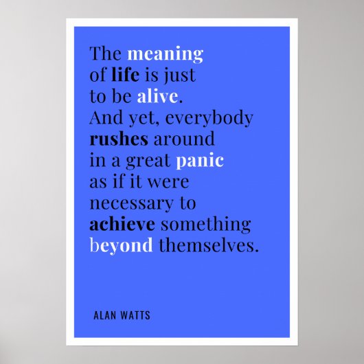 Alan Watts - De zin van het leven Poster (Voorkant)