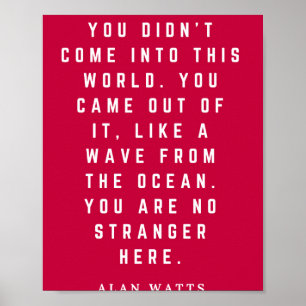 Alan Watts je bent niet naar deze wereld gekomen. Poster