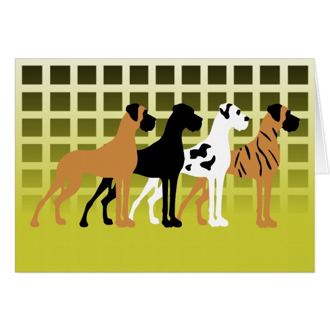 Alano (Voorkant Horizontaal)