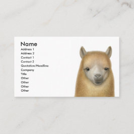 Alarmwaarschuwingen Visitekaartje