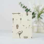 Alaska 3 briefkaart (Staand voorkant)