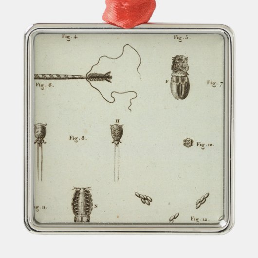 Alaska 3 metalen ornament (Voorkant)