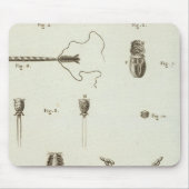 Alaska 3 muismat (Voorkant)