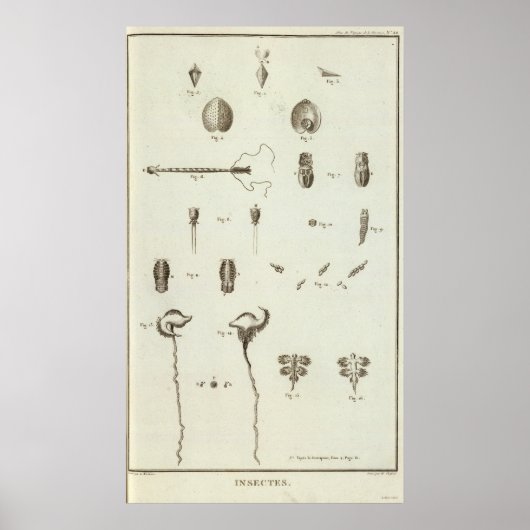 Alaska 3 poster (Voorkant)