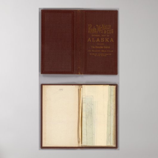 Alaska 4 poster (Voorkant)