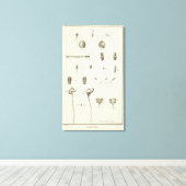 Alaska 5 canvas afdruk (Insitu (Houten vloer))