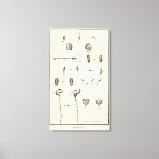 Alaska 5 canvas afdruk (Voorkant)