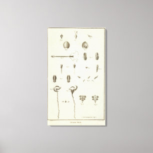 Alaska 5 canvas afdruk