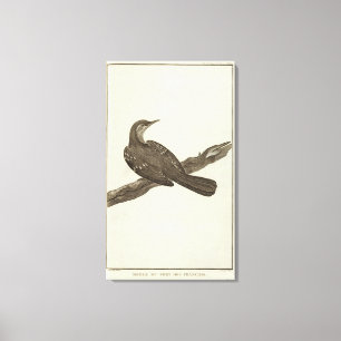 Alaska 6 canvas afdruk