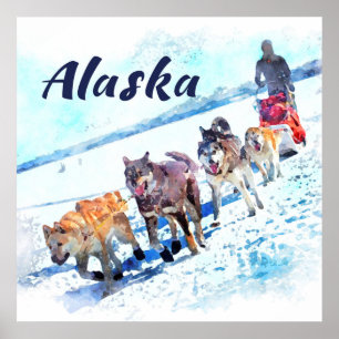 Alaska (AK) Een sled dog team - Travel poster
