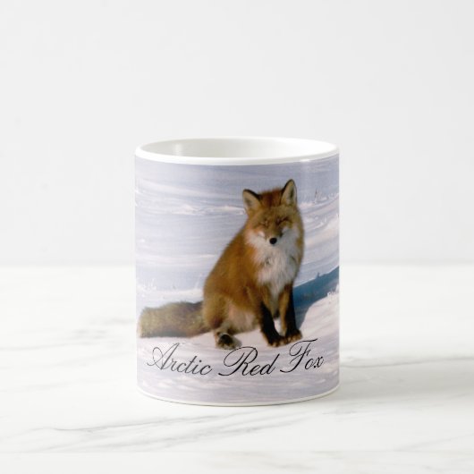 Alaska Arctic Red Fox Coffee Mok (Center)