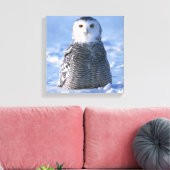 Alaska Arctic Snowy Owl Foto ontworpen Canvas Afdruk (Insitu (Woonkamer))