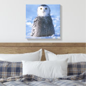 Alaska Arctic Snowy Owl Foto ontworpen Canvas Afdruk (Insitu (Slaapkamer))