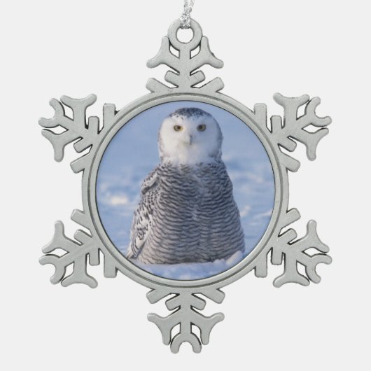 Alaska Arctic Snowy Owl Winter Scene Fotoontwerp Tin Sneeuwvlok Ornament (Voorkant)