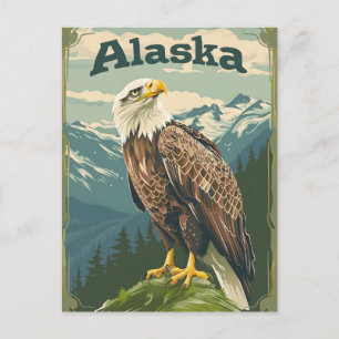 Alaska Bald Eagle Briefkaart