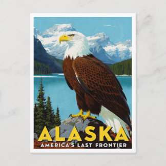 Alaska Bald Eagle Last Frontier Art Briefkaart