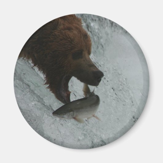 Alaska Beer vangen zalm Magneet (Voorkant)