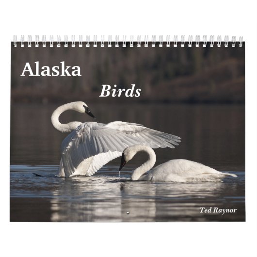 Alaska Birds Kalender (Hoes)