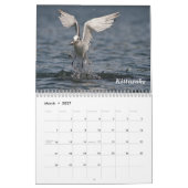 Alaska Birds Kalender (Mar 2027)
