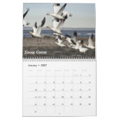 Alaska Birds Kalender (Jan 2027)