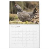 Alaska Birds Kalender (Feb 2027)