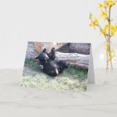 Alaska Black Beer Cub Wenskaart Kaart (Gele Bloem)
