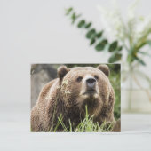 ALASKA BRIEFKAART (Staand voorkant)
