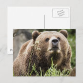 ALASKA BRIEFKAART (Voorkant / Achterkant)