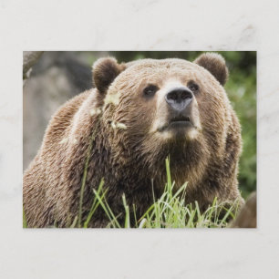 ALASKA BRIEFKAART