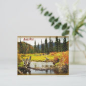 Alaska Briefkaart (Staand voorkant)