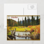 Alaska Briefkaart (Voorkant / Achterkant)