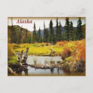 Alaska Briefkaart
