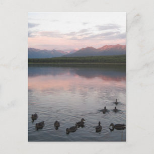 Alaska Briefkaart