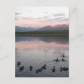 Alaska Briefkaart (Voorkant)