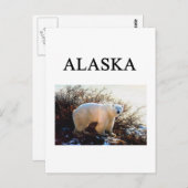 alaska briefkaart (Voorkant / Achterkant)