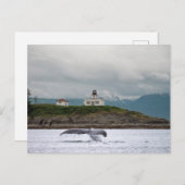 Alaska Briefkaart (Voorkant / Achterkant)