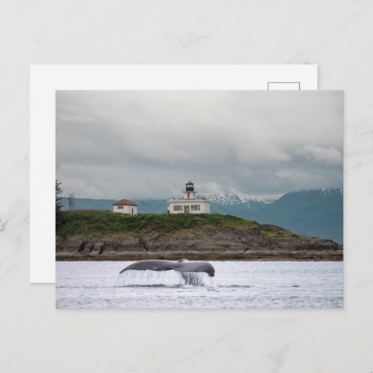 Alaska Briefkaart (Voorkant / Achterkant)