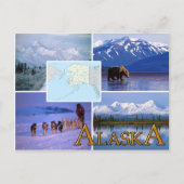Alaska Briefkaart (Voorkant)