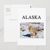 alaska briefkaart (Voorkant / Achterkant)