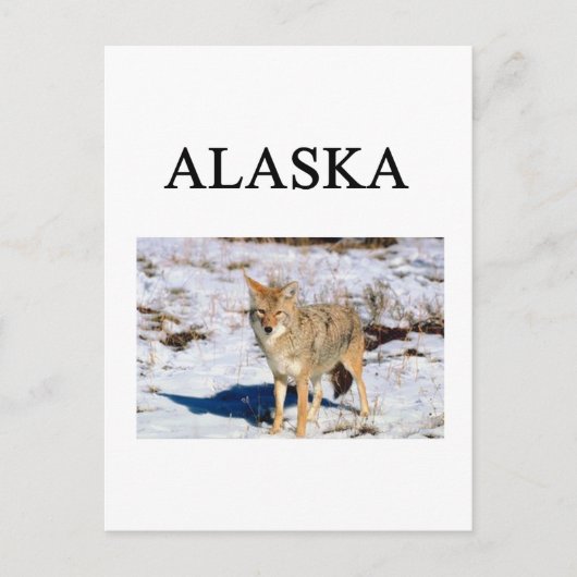 alaska briefkaart (Voorkant)