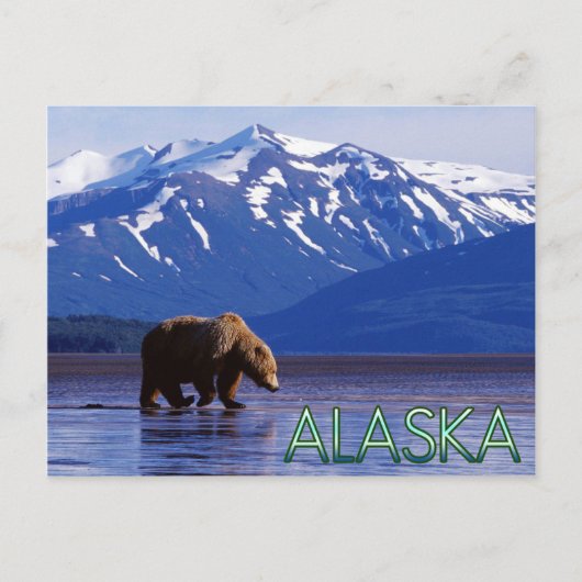 Alaska Briefkaart (Voorkant)