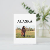 alaska briefkaart (Staand voorkant)