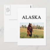 alaska briefkaart (Voorkant / Achterkant)