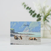 Alaska-briefkaart met grizzly beer cubs briefkaart (Staand voorkant)
