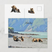 Alaska-briefkaart met grizzly beer cubs briefkaart (Voorkant / Achterkant)
